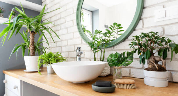 Plants in bathroom